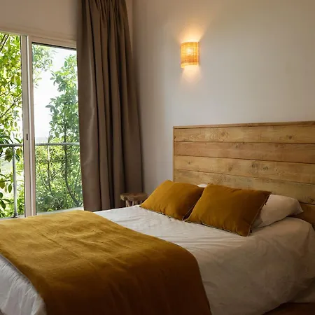 Barquiero * 코티치아바리