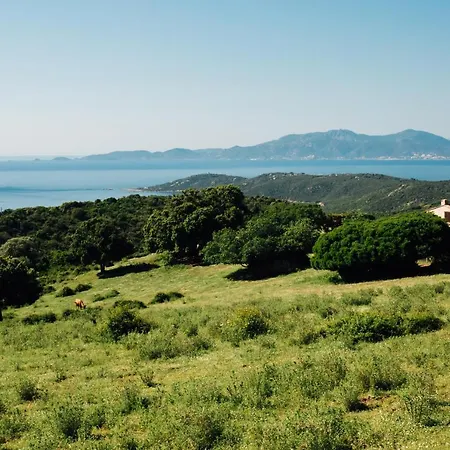 Barquiero * Coti-Chiavari (Corsica)
