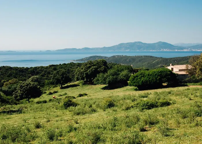 Barquiero * Coti-Chiavari (Corsica)